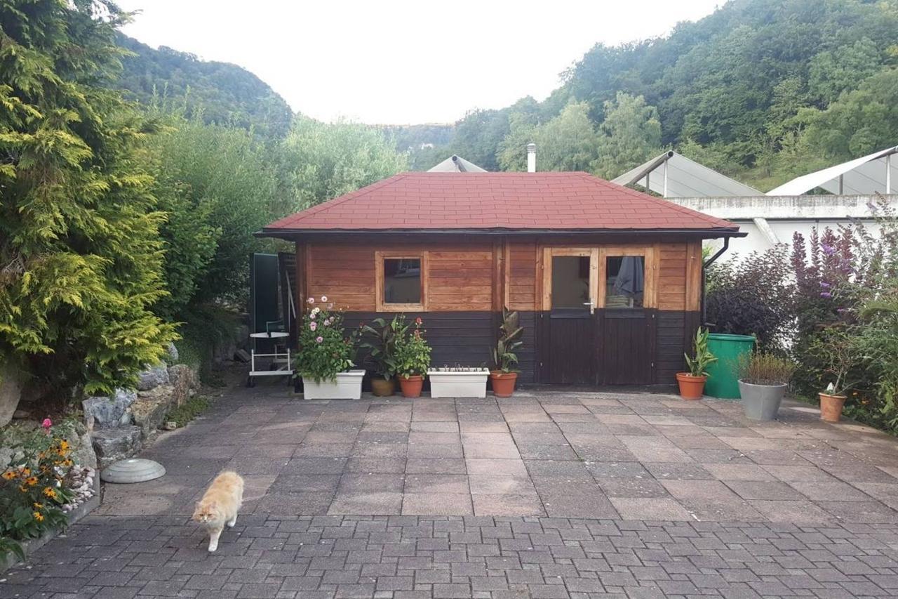 Mona'S Sleep & Go Bed and Breakfast Buren  Buitenkant foto
