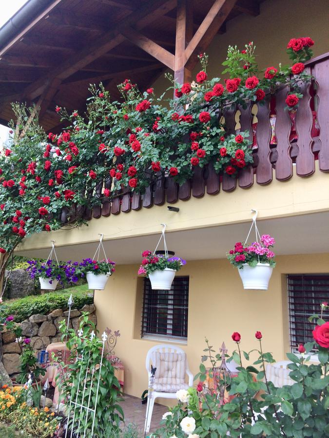 Mona'S Sleep & Go Bed and Breakfast Buren  Buitenkant foto