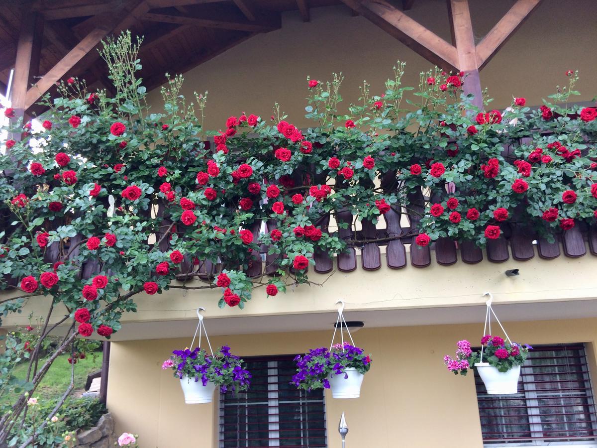 Mona'S Sleep & Go Bed and Breakfast Buren  Buitenkant foto