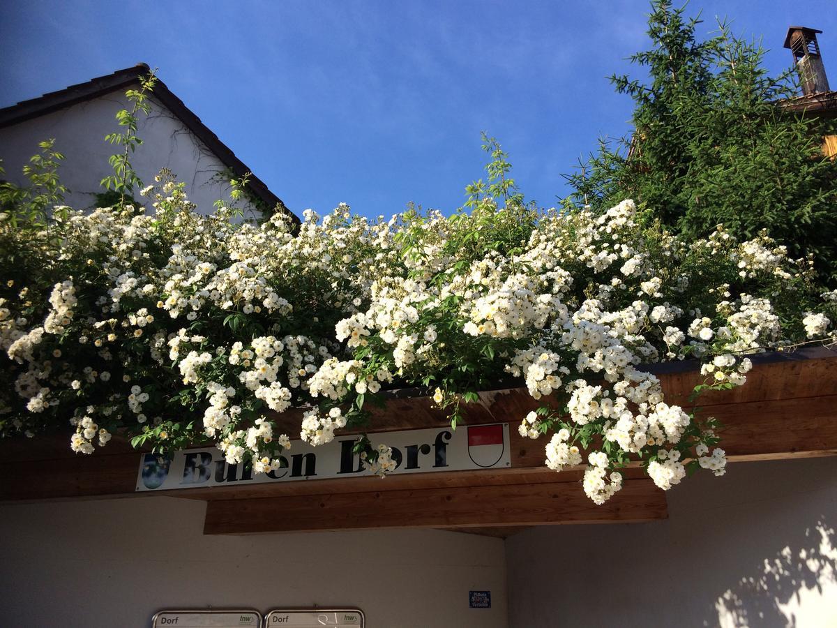 Mona'S Sleep & Go Bed and Breakfast Buren  Buitenkant foto